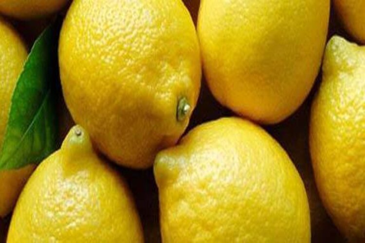 comment conserver les citrons apres recolte