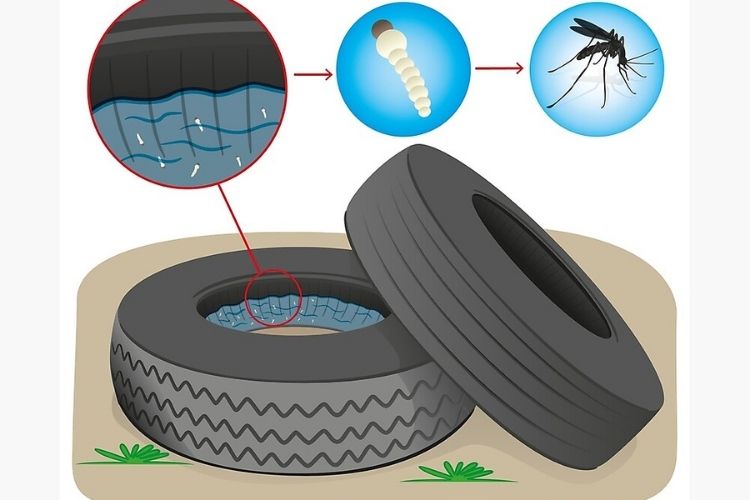 méthode pour se débarrasser des moustiques 